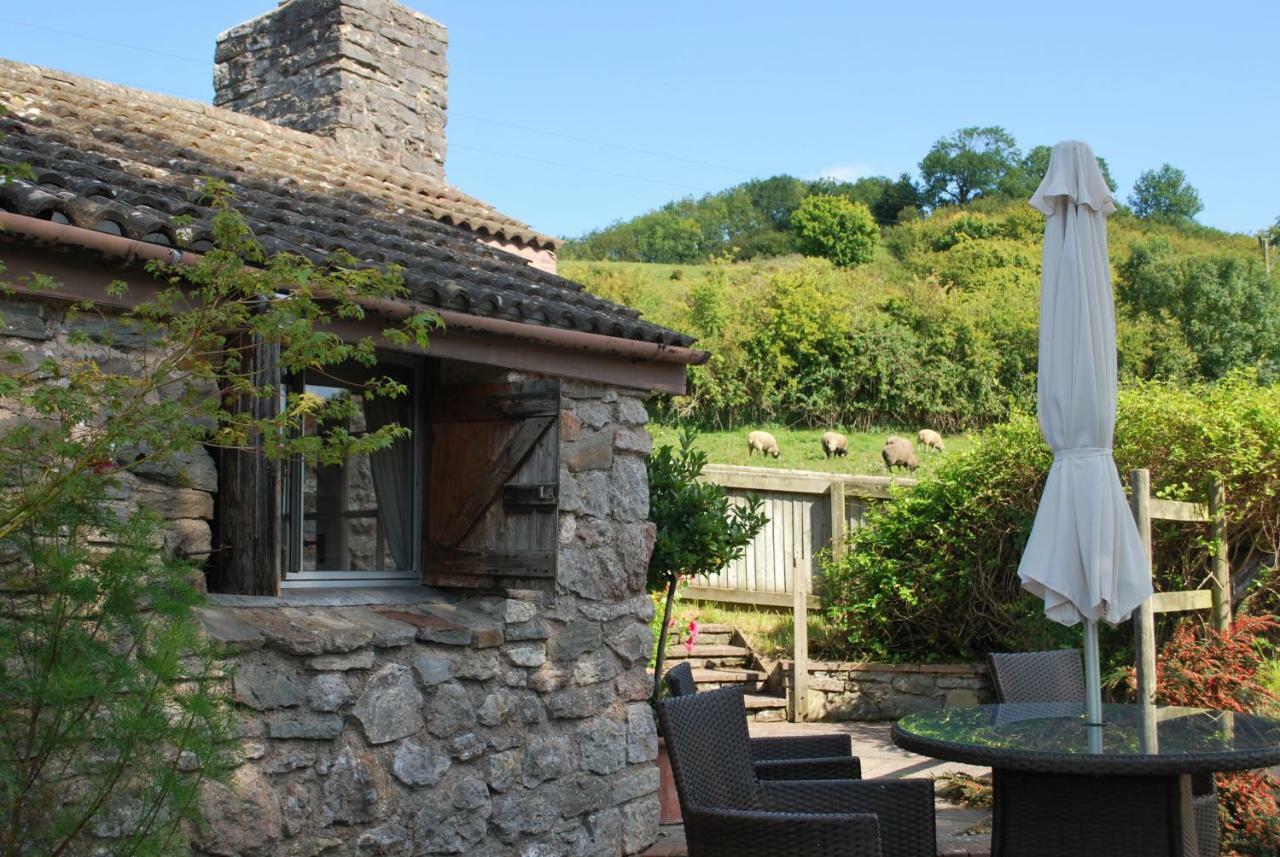 Fenny Castle Vineyard Cottage Wookey Ngoại thất bức ảnh