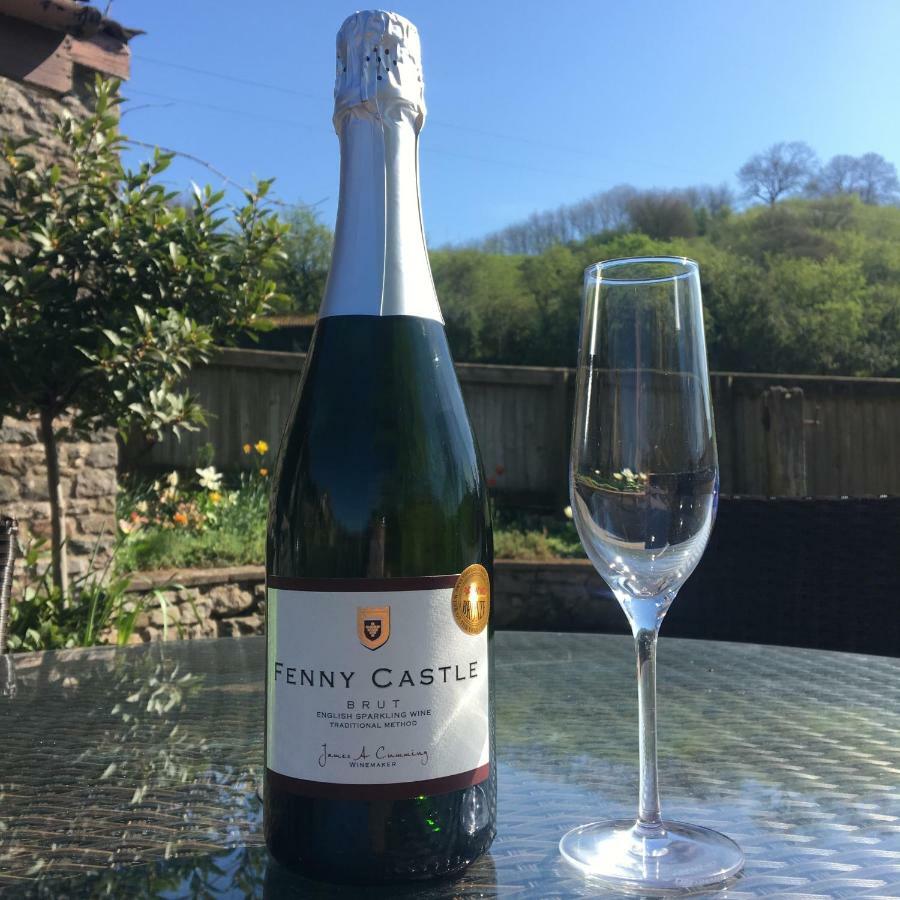 Fenny Castle Vineyard Cottage Wookey Ngoại thất bức ảnh