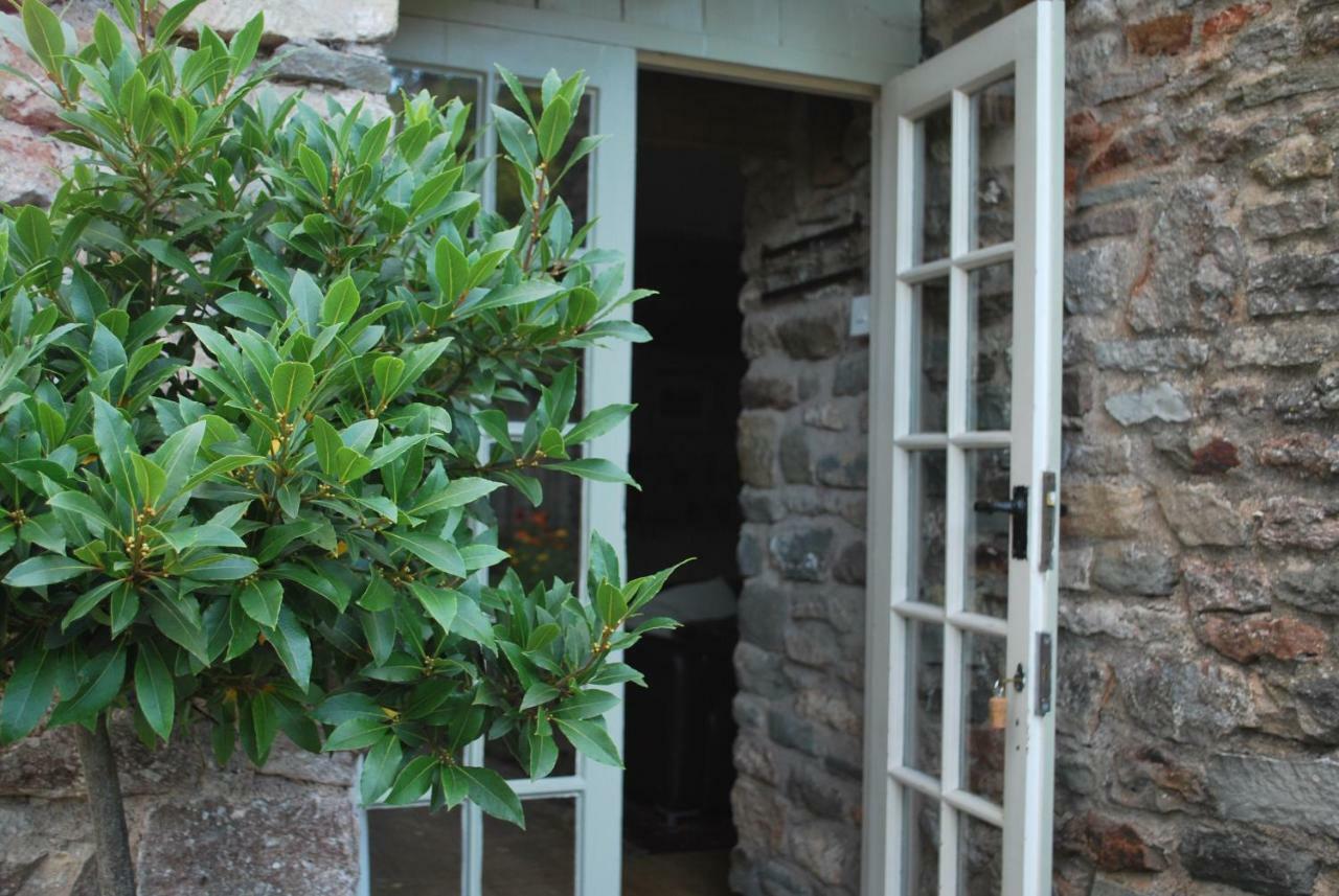 Fenny Castle Vineyard Cottage Wookey Ngoại thất bức ảnh