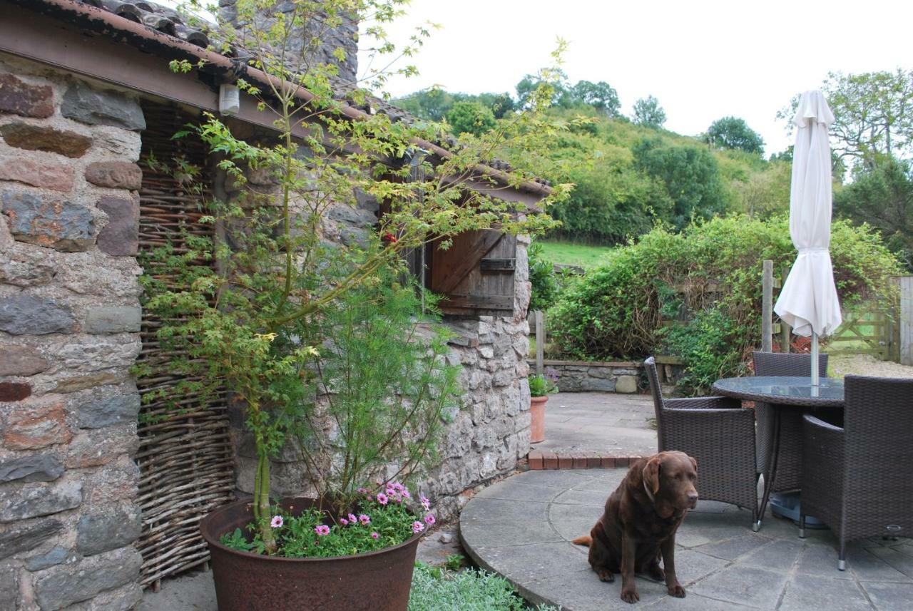 Fenny Castle Vineyard Cottage Wookey Ngoại thất bức ảnh
